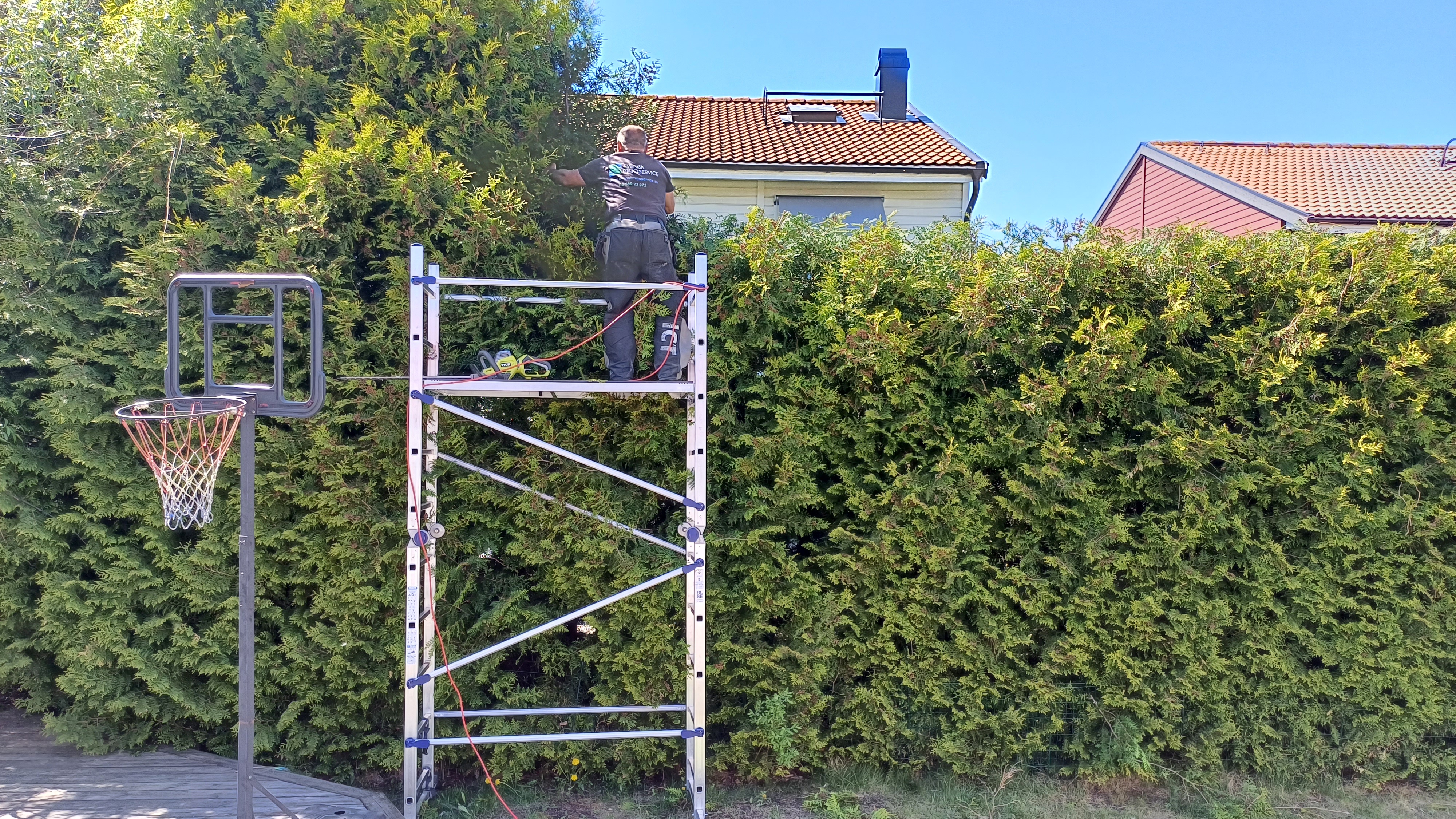 Klippa buskar (7)